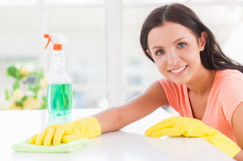 Professional upholstery cleaning in Tokyngton on a fabric sofa