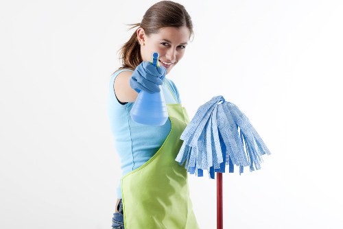 Living room carpet cleaning for pet stain odour removal in Tokyngton