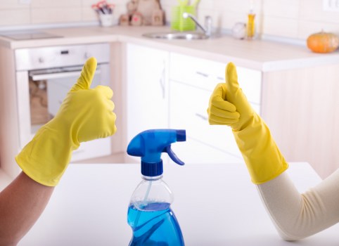 Risk assessment being carried out in a carpet cleaning environment