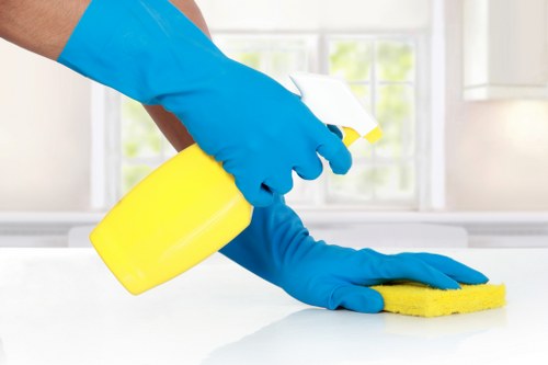 Stain removal in Tokyngton for carpet and upholstery cleaning