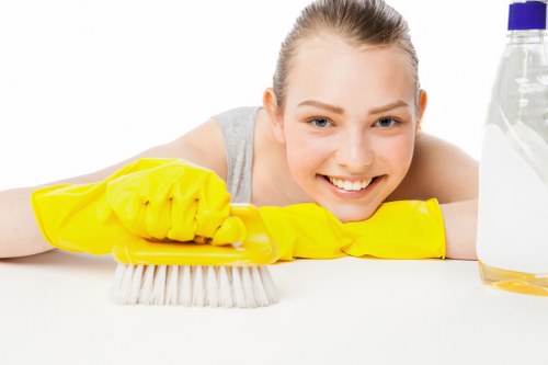 Stain removal and maintenance for rug cleaning in Tokyngton