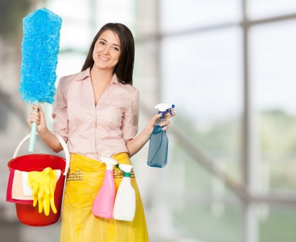 Reviewing a carpet cleaning complaint and service details