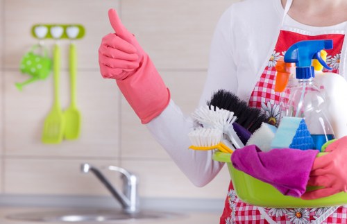 Professional carpet cleaning process by Tokyngton Carpet Cleaners