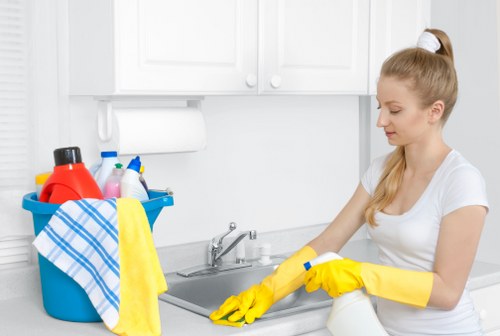 Deep carpet cleaning equipment in Tokyngton